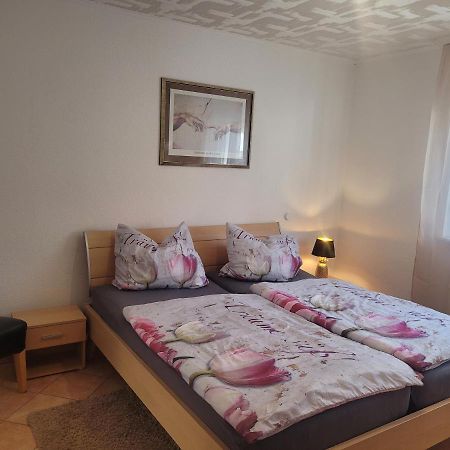 Ferienwohnung Jasmin In Schoenau Bei Heidelberg Fewo 2 Schonau  Εξωτερικό φωτογραφία