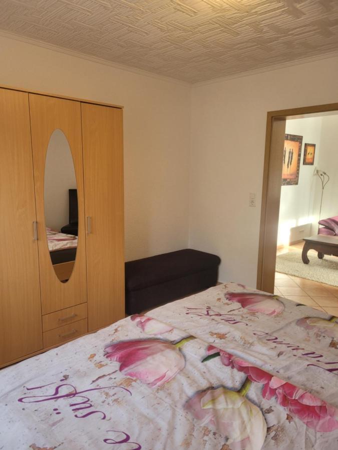 Ferienwohnung Jasmin In Schoenau Bei Heidelberg Fewo 2 Schonau  Εξωτερικό φωτογραφία